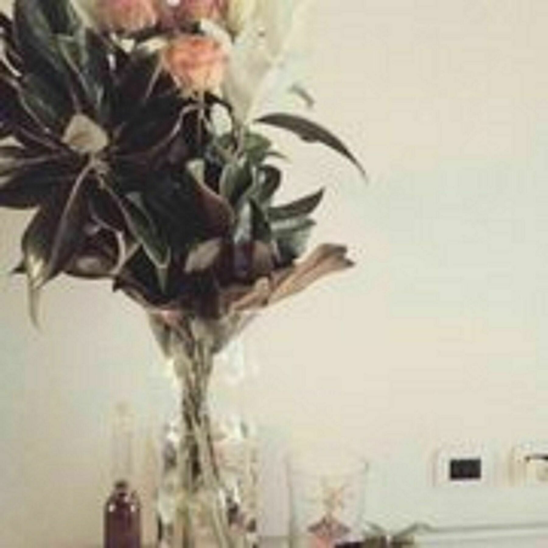 Casa Caterina Apartment เวโรนา ภายนอก รูปภาพ